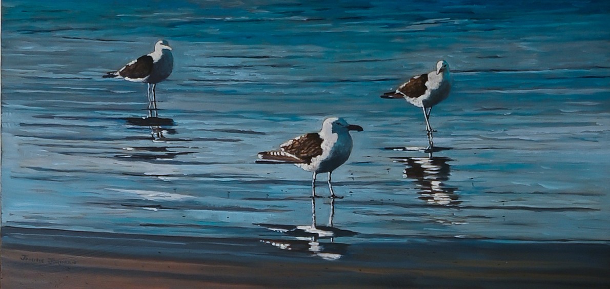 Paternoster Gulls