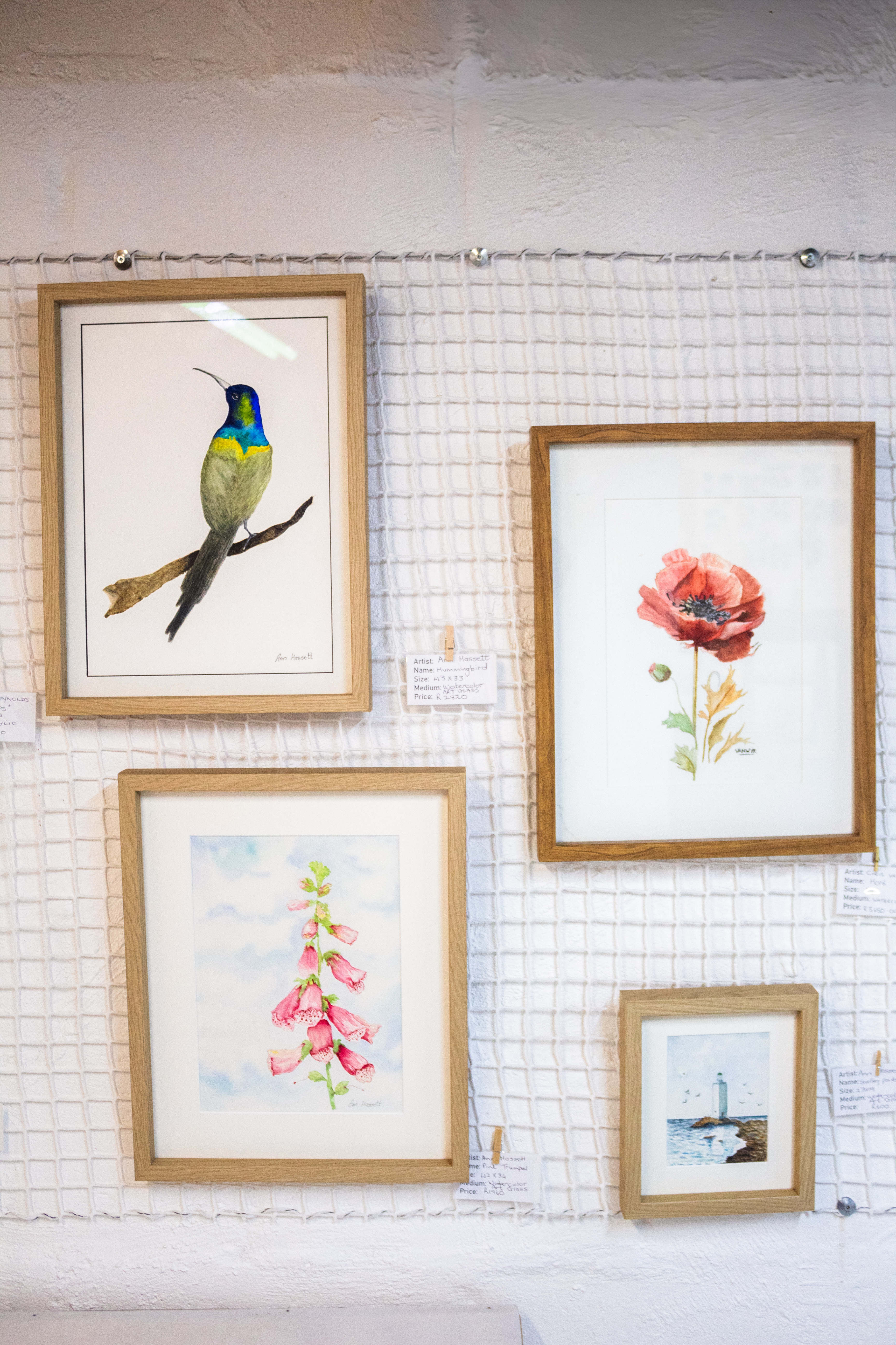 Watercolours