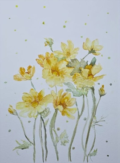 Daisies