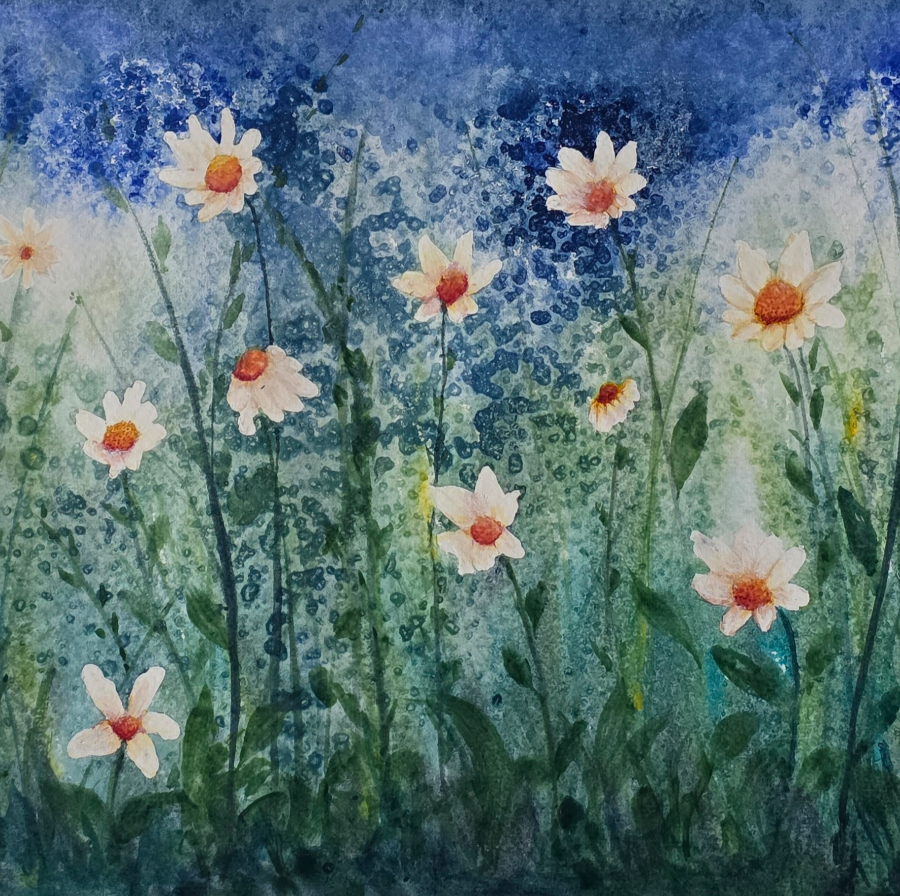 West Coast in Bloom
