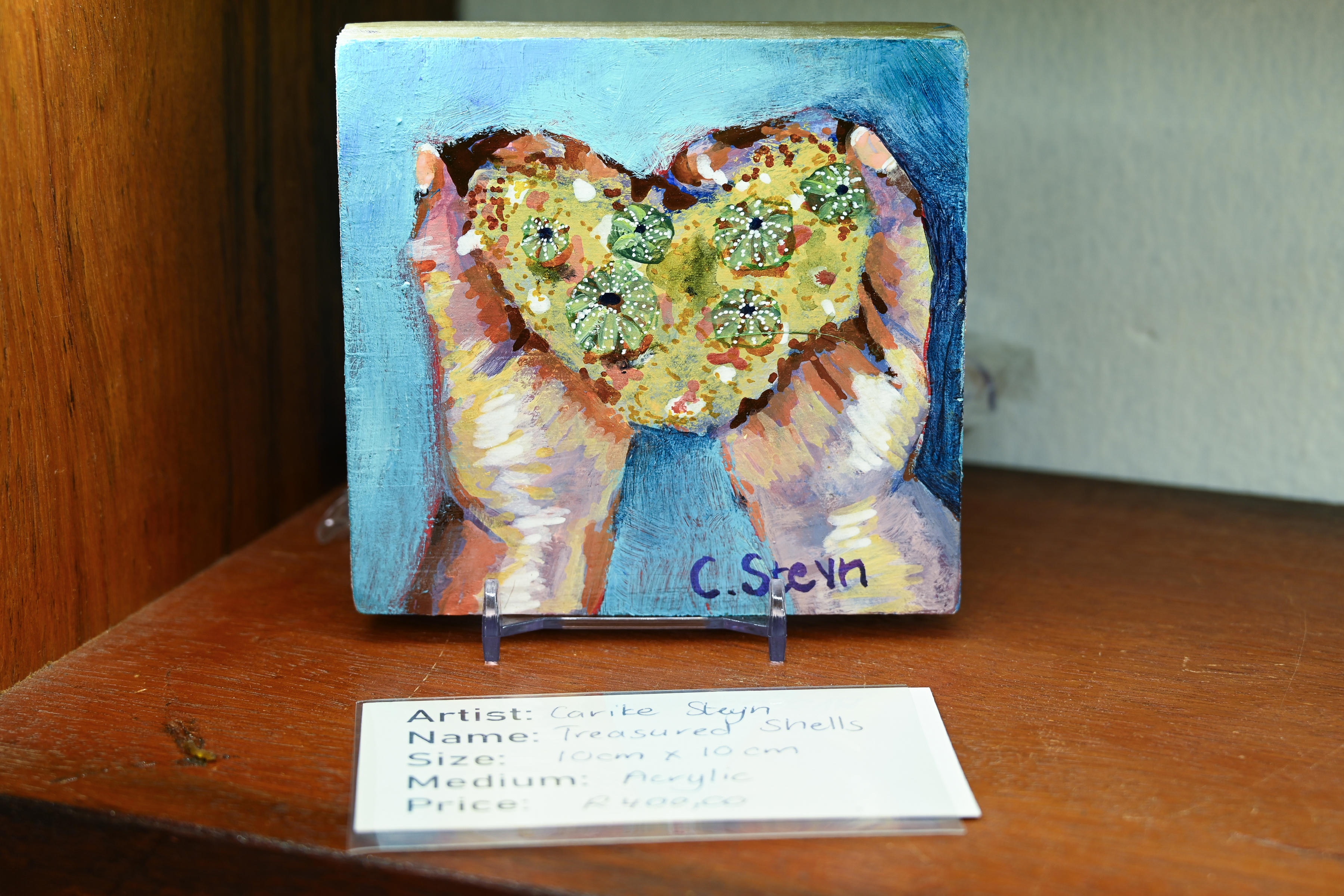 Treasured Shells By Carike Steyn