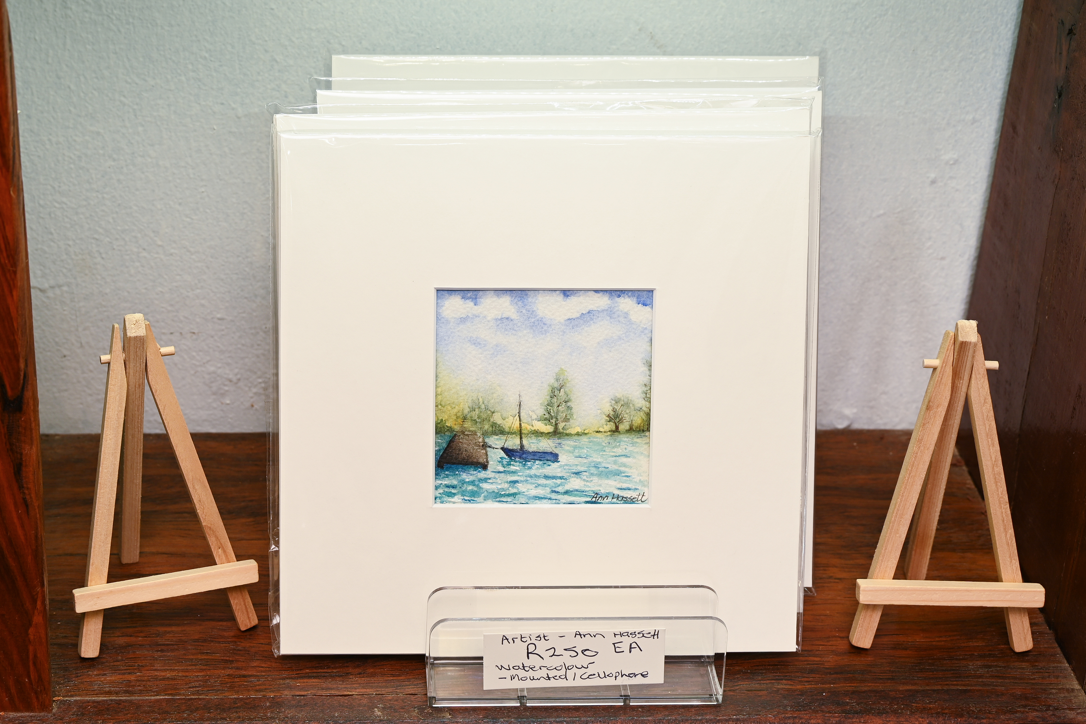 Watercolours By Ann Hassett
