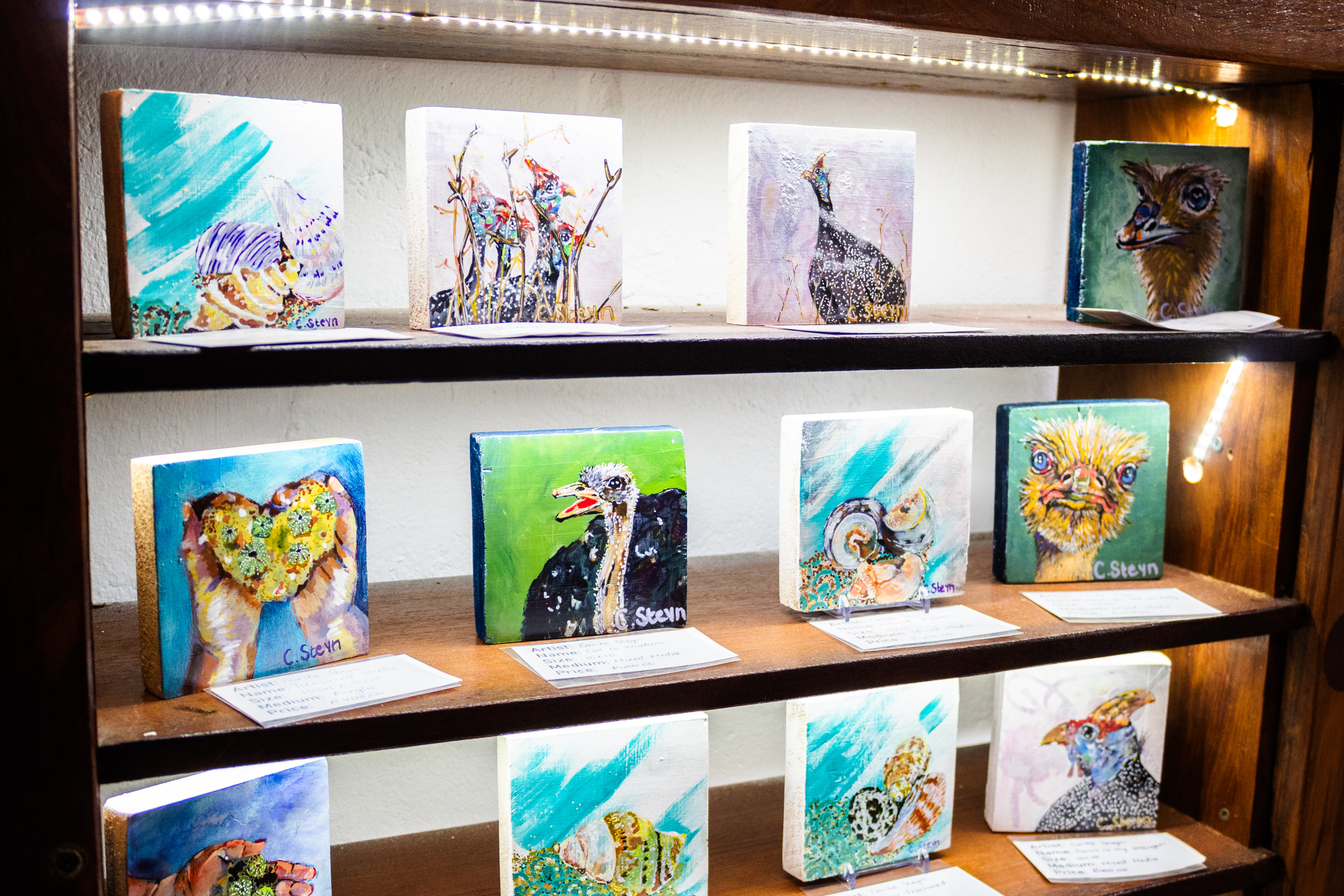 Miniature Acrylics By Carike Steyn